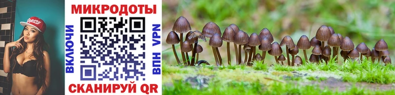 Купить закладки Берёзовка Псилоцибиновые грибы мухоморы